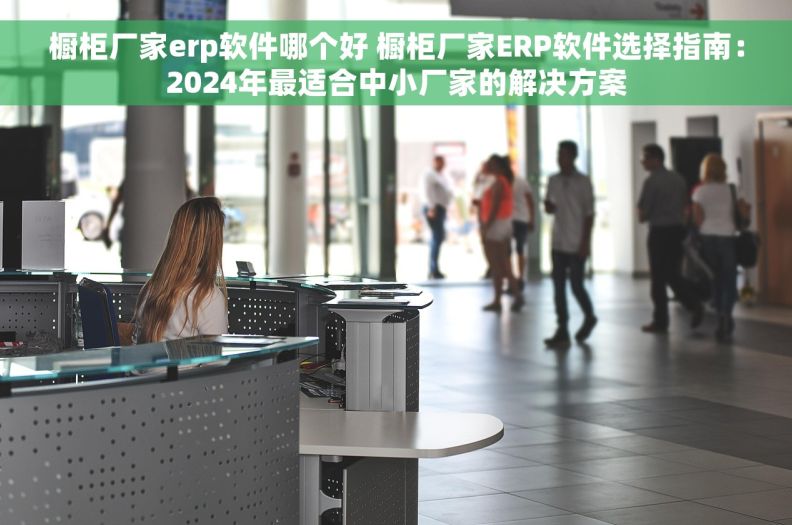 橱柜厂家erp软件哪个好 橱柜厂家ERP软件选择指南：2024年最适合中小厂家的解决方案
