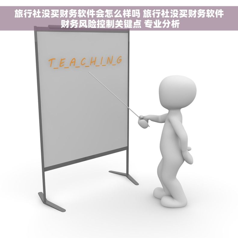 旅行社没买财务软件会怎么样吗 旅行社没买财务软件 财务风险控制关键点 专业分析 旅行社没买财务软件会怎么样吗 旅行社没买财务软件 财务风险控制关键点 专业分析