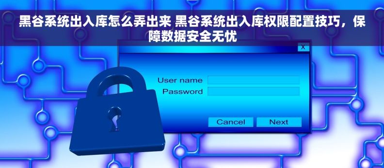黑谷系统出入库怎么弄出来 黑谷系统出入库权限配置技巧，保障数据安全无忧