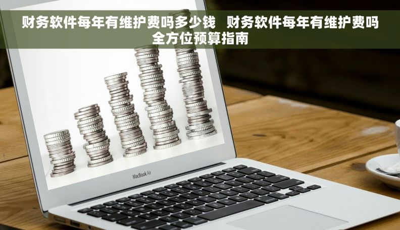 财务软件每年有维护费吗多少钱   财务软件每年有维护费吗全方位预算指南