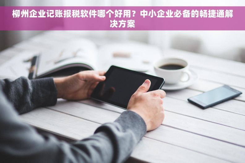 柳州企业记账报税软件哪个好用？中小企业必备的畅捷通解决方案