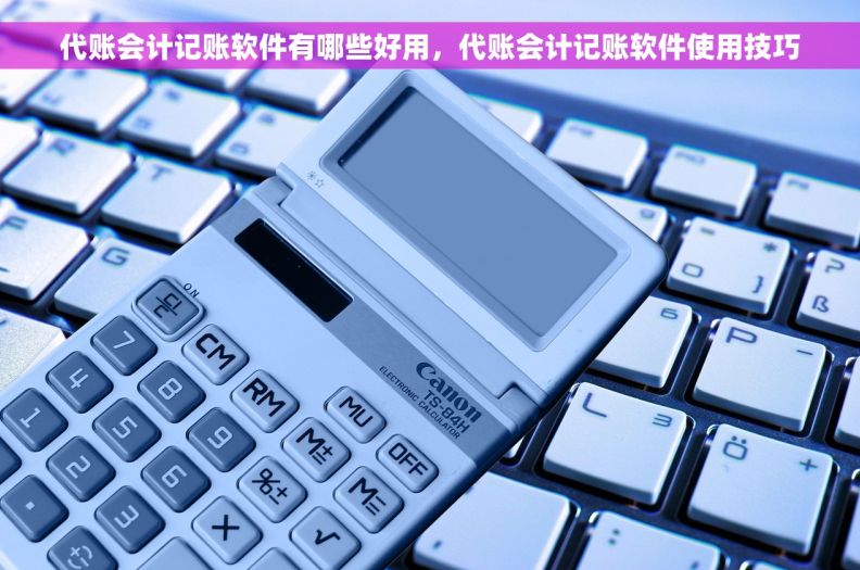 代账会计记账软件有哪些好用,代账会计记账软件使用技巧 代账会计记账软件有哪些好用,代账会计记账软件使用技巧