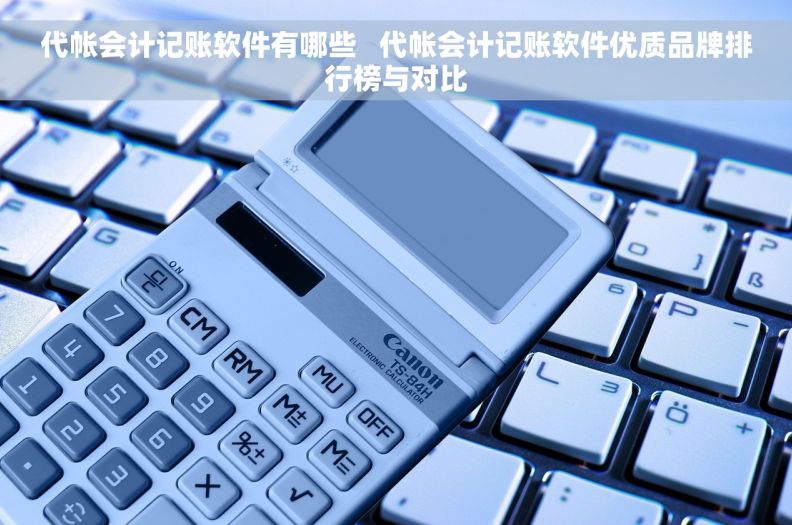 代帐会计记账软件有哪些   代帐会计记账软件优质品牌排行榜与对比