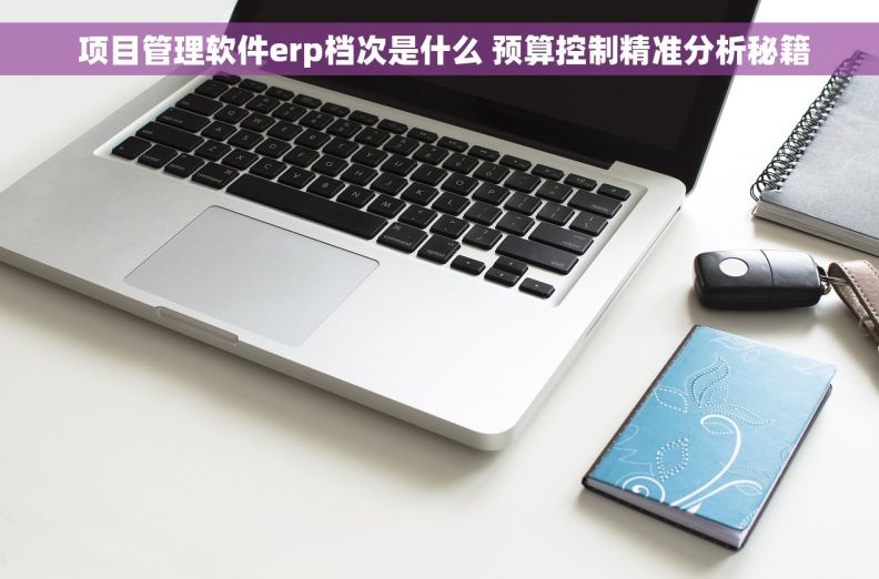  项目管理软件erp档次是什么 预算控制精准分析秘籍