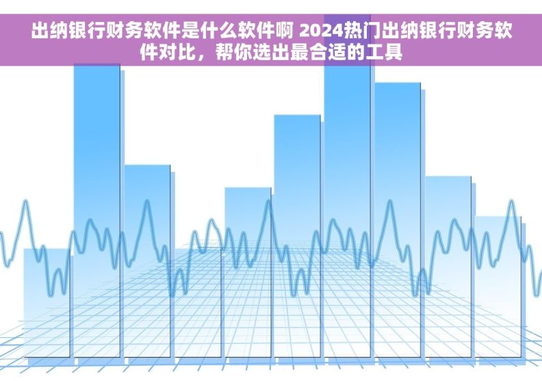 出纳银行财务软件是什么软件啊 2024热门出纳银行财务软件对比，帮你选出最合适的工具