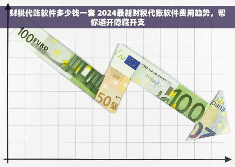 财税代账软件多少钱一套 2024最新财税代账软件费用趋势，帮你避开隐藏开支