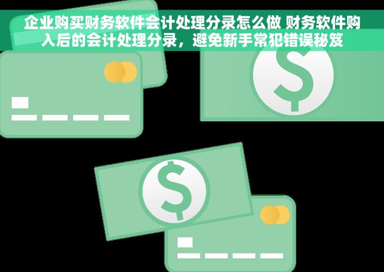 企业购买财务软件会计处理分录怎么做 财务软件购入后的会计处理分录，避免新手常犯错误秘笈