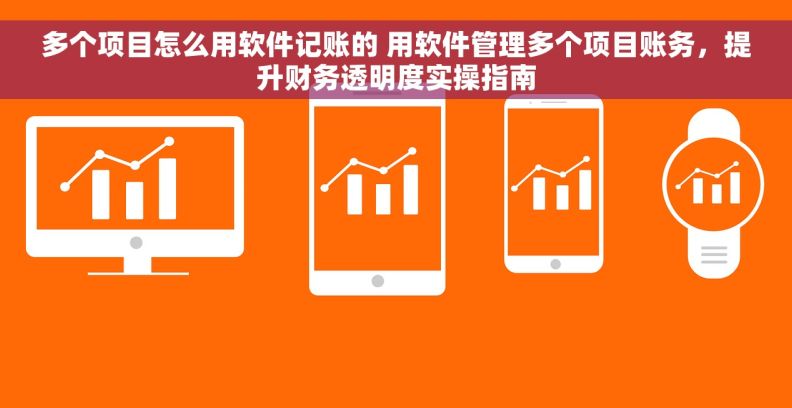 多个项目怎么用软件记账的 用软件管理多个项目账务，提升财务透明度实操指南