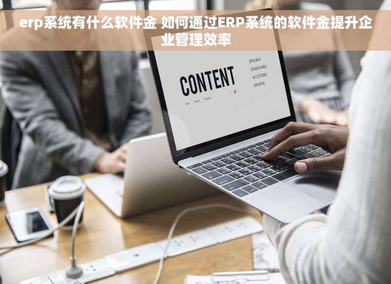 erp系统有什么软件金 如何通过ERP系统的软件金提升企业管理效率