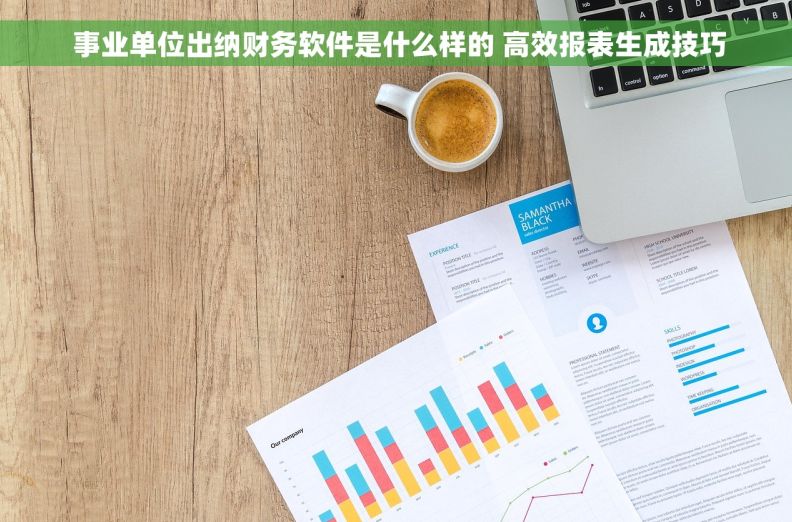  事业单位出纳财务软件是什么样的 高效报表生成技巧