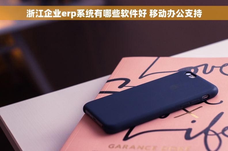 浙江企业erp系统有哪些软件好 移动办公支持