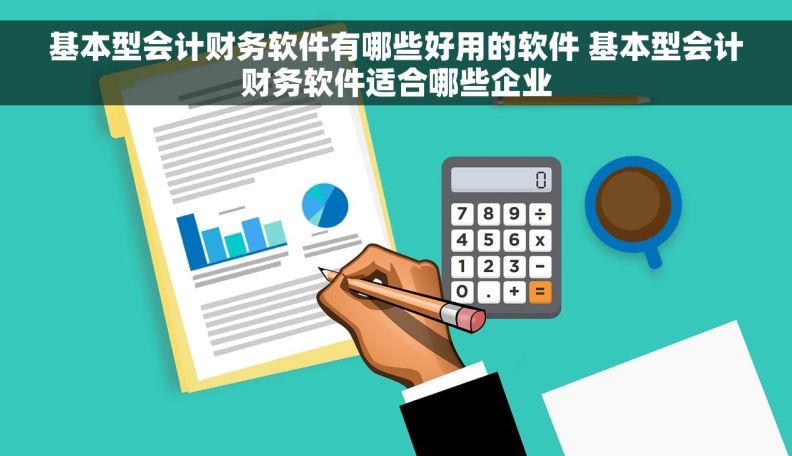 基本型会计财务软件有哪些好用的软件 基本型会计财务软件适合哪些企业