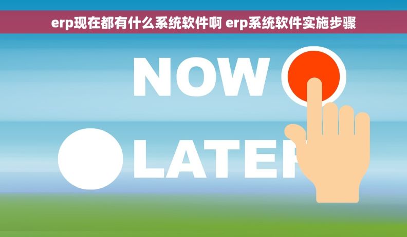 erp现在都有什么系统软件啊 erp系统软件实施步骤
