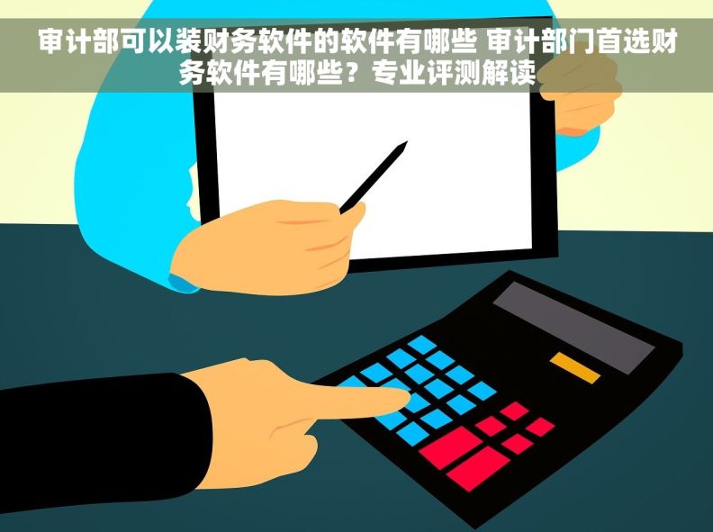 审计部可以装财务软件的软件有哪些 审计部门首选财务软件有哪些？专业评测解读