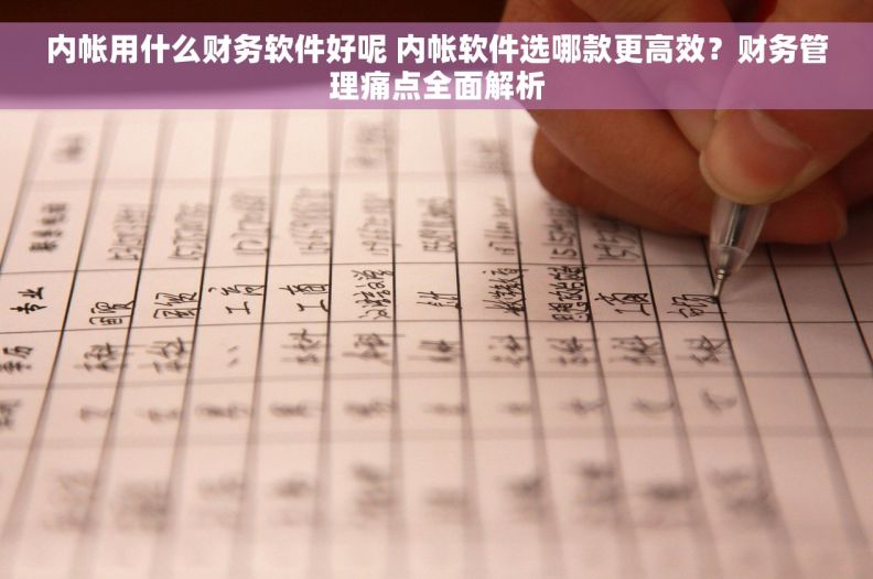 内帐用什么财务软件好呢 内帐软件选哪款更高效？财务管理痛点全面解析
