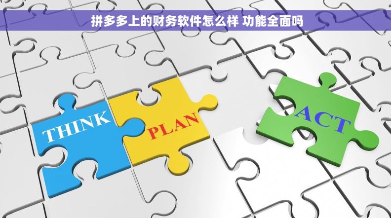  拼多多上的财务软件怎么样 功能全面吗