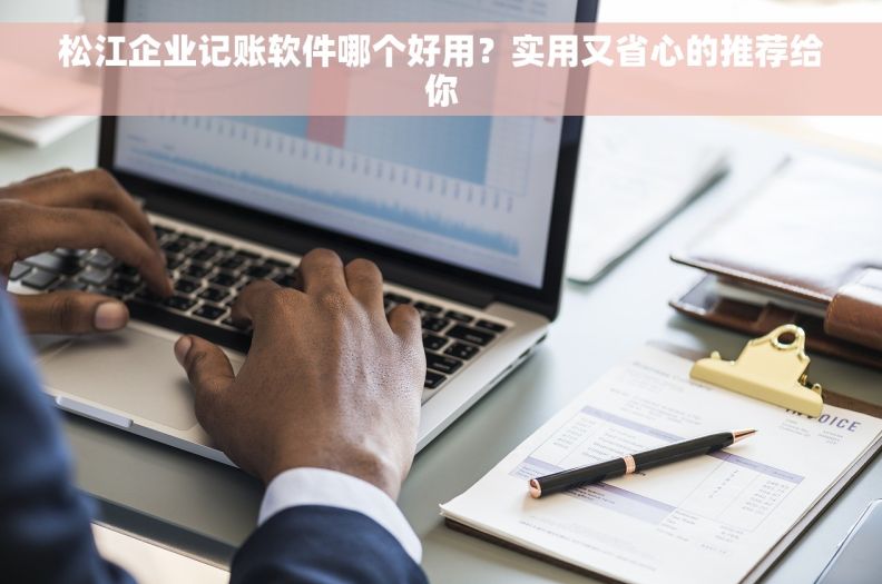 松江企业记账软件哪个好用？实用又省心的推荐给你