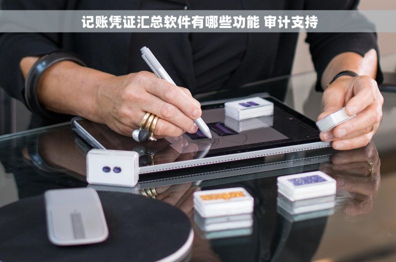  记账凭证汇总软件有哪些功能 审计支持