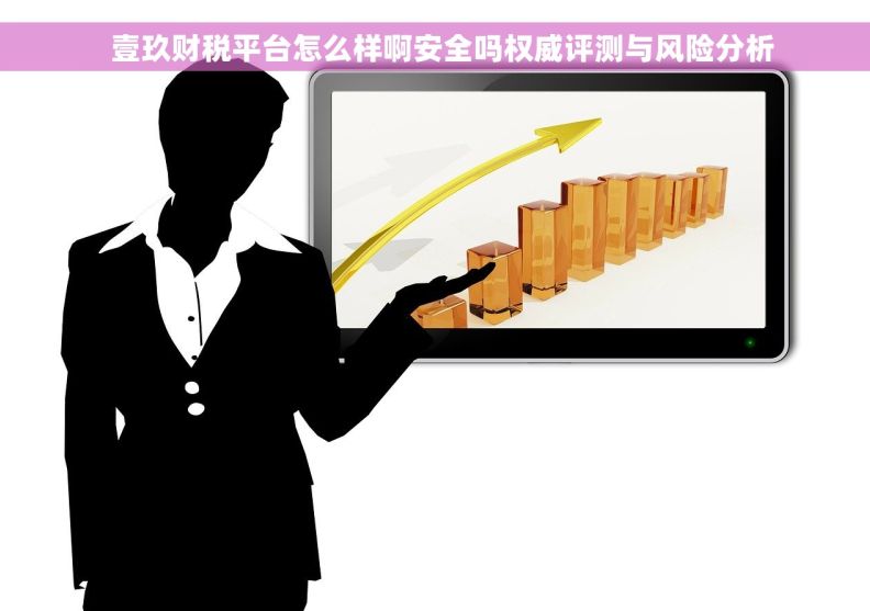   壹玖财税平台怎么样啊安全吗权威评测与风险分析