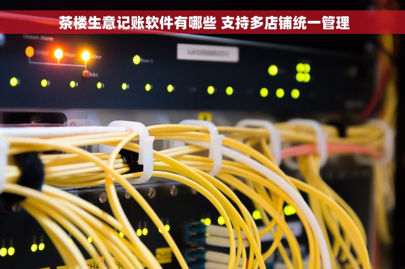  茶楼生意记账软件有哪些 支持多店铺统一管理