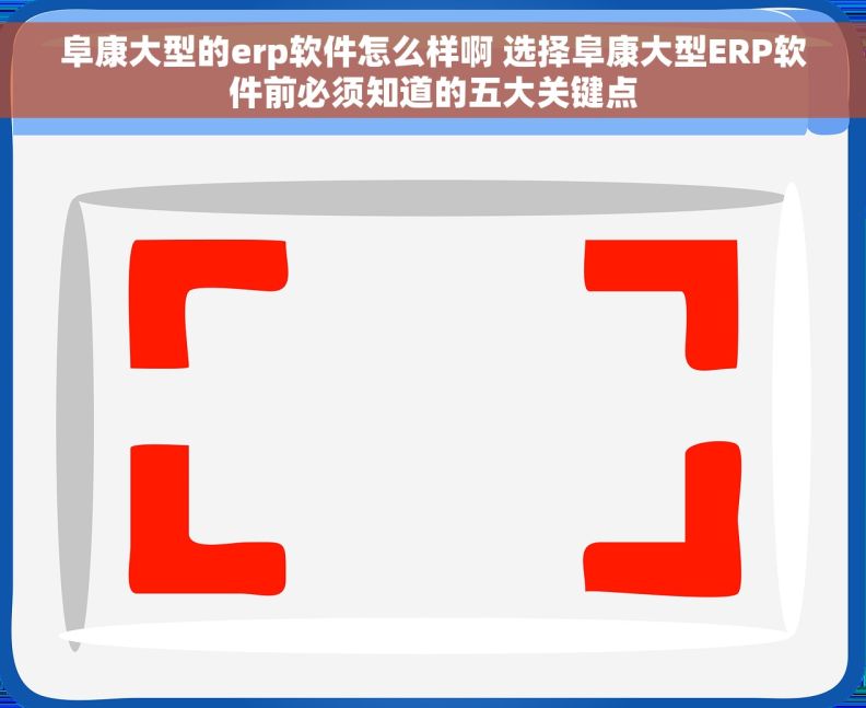 阜康大型的erp软件怎么样啊 选择阜康大型ERP软件前必须知道的五大关键点