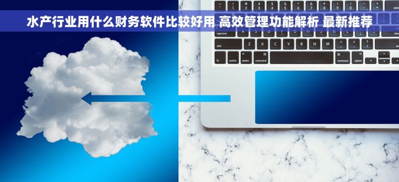 水产行业用什么财务软件比较好用 高效管理功能解析 最新推荐