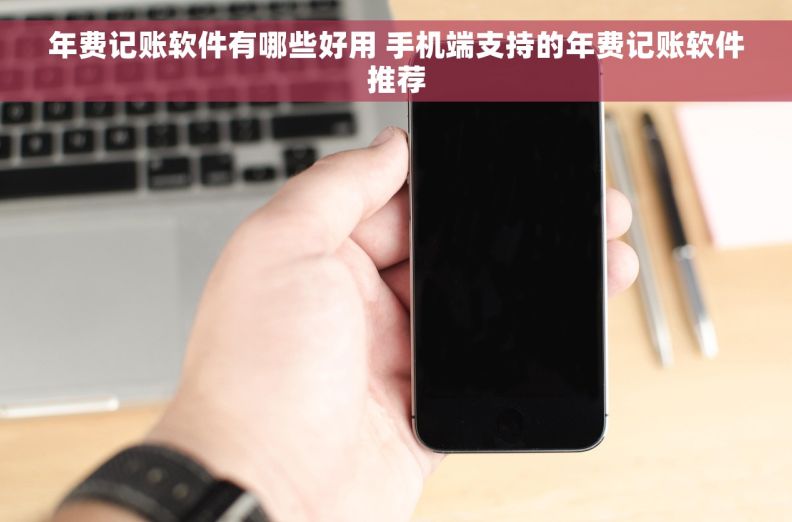 年费记账软件有哪些好用 手机端支持的年费记账软件推荐