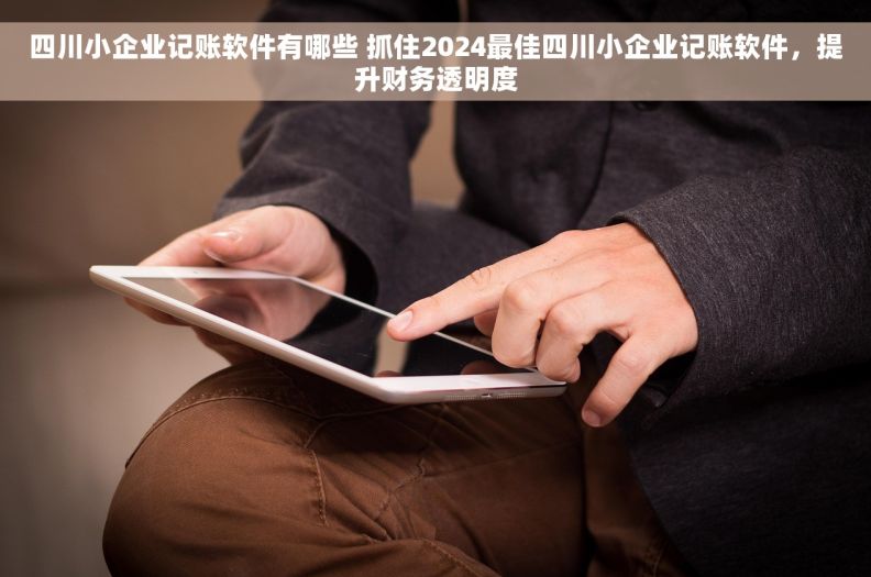 四川小企业记账软件有哪些 抓住2024最佳四川小企业记账软件，提升财务透明度