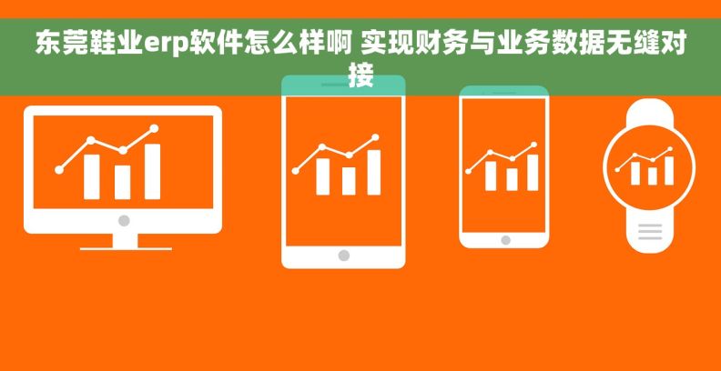 东莞鞋业erp软件怎么样啊 实现财务与业务数据无缝对接