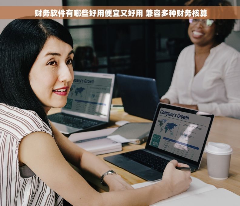  财务软件有哪些好用便宜又好用 兼容多种财务核算
