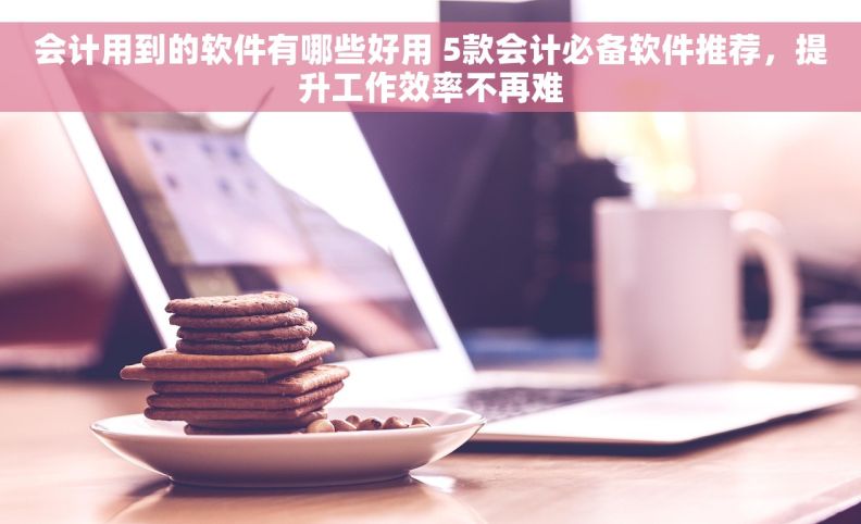 会计用到的软件有哪些好用 5款会计必备软件推荐，提升工作效率不再难