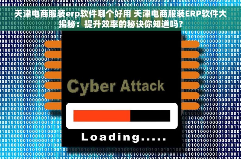 天津电商服装erp软件哪个好用 天津电商服装ERP软件大揭秘：提升效率的秘诀你知道吗？