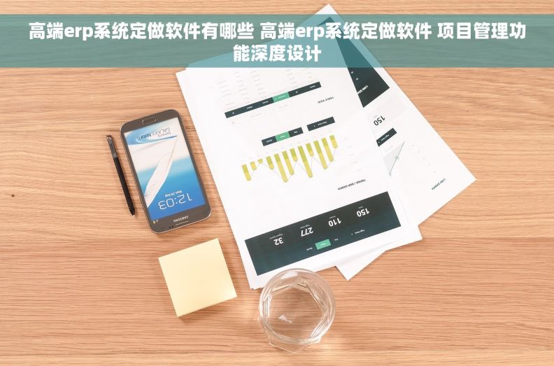高端erp系统定做软件有哪些 高端erp系统定做软件 项目管理功能深度设计