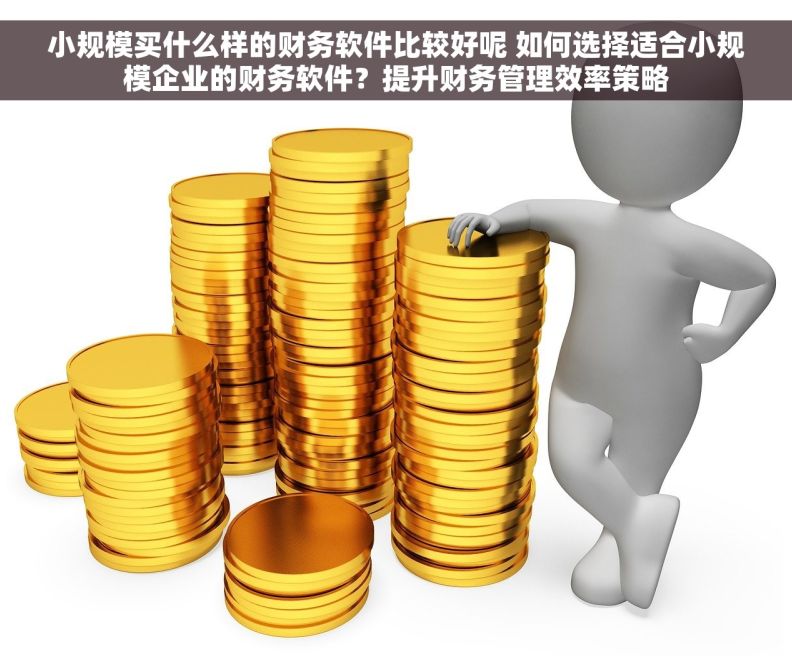 小规模买什么样的财务软件比较好呢 如何选择适合小规模企业的财务软件？提升财务管理效率策略