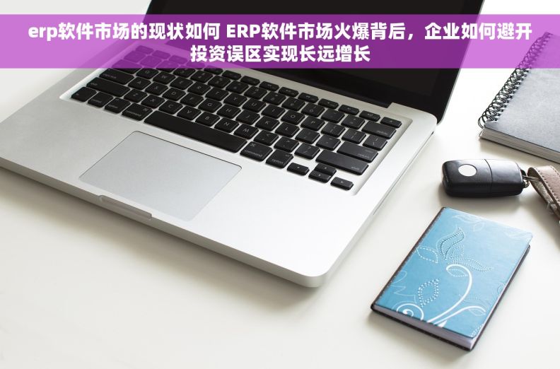 erp软件市场的现状如何 ERP软件市场火爆背后，企业如何避开投资误区实现长远增长