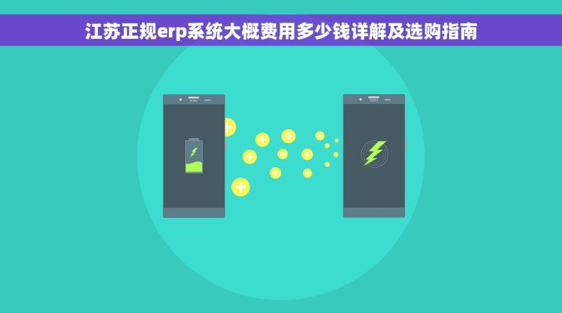 江苏正规erp系统大概费用多少钱详解及选购指南