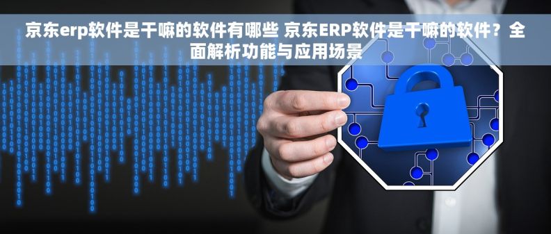 京东erp软件是干嘛的软件有哪些 京东ERP软件是干嘛的软件？全面解析功能与应用场景