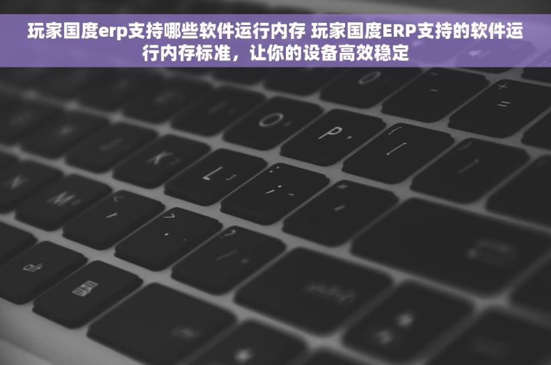 玩家国度erp支持哪些软件运行内存 玩家国度ERP支持的软件运行内存标准，让你的设备高效稳定