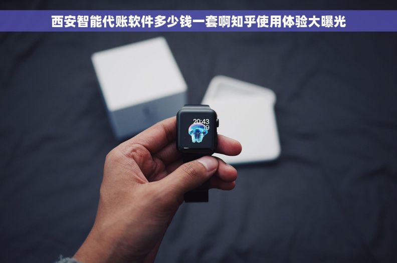 西安智能代账软件多少钱一套啊知乎使用体验大曝光