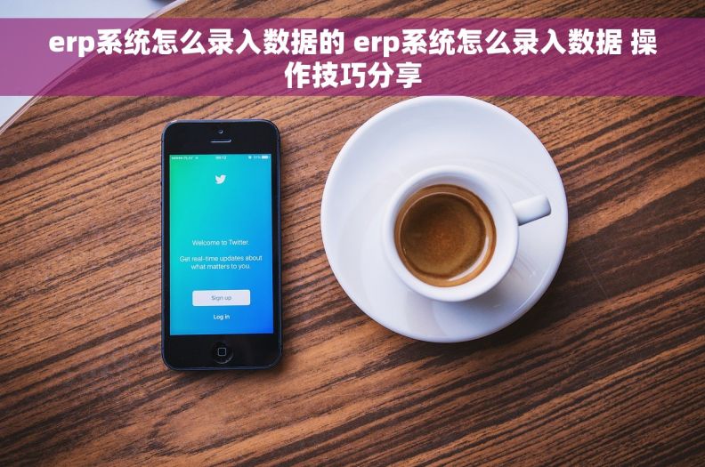 erp系统怎么录入数据的 erp系统怎么录入数据 操作技巧分享