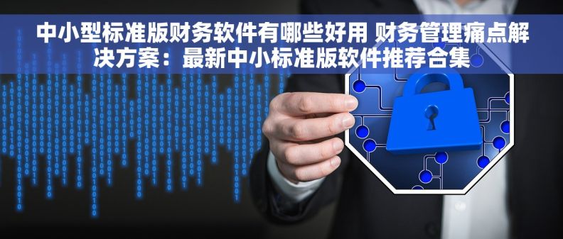 中小型标准版财务软件有哪些好用 财务管理痛点解决方案：最新中小标准版软件推荐合集