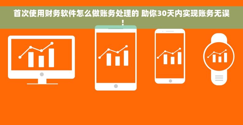 首次使用财务软件怎么做账务处理的 助你30天内实现账务无误！