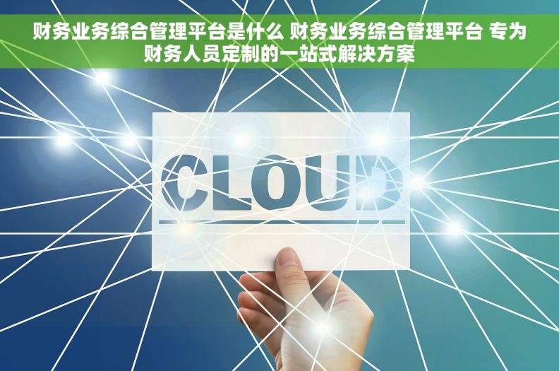 财务业务综合管理平台是什么 财务业务综合管理平台 专为财务人员定制的一站式解决方案