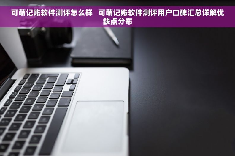 可萌记账软件测评怎么样   可萌记账软件测评用户口碑汇总详解优缺点分布