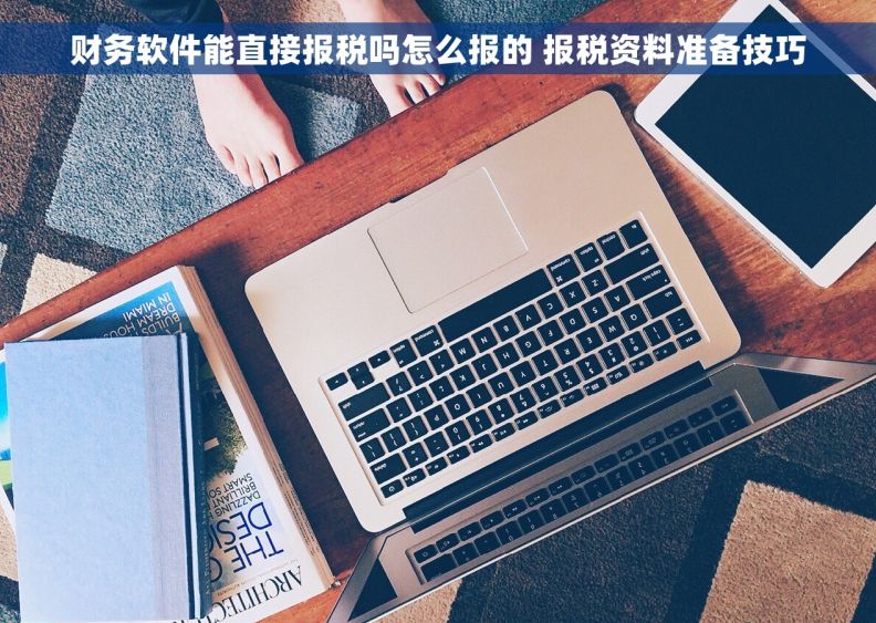 财务软件能直接报税吗怎么报的 报税资料准备技巧