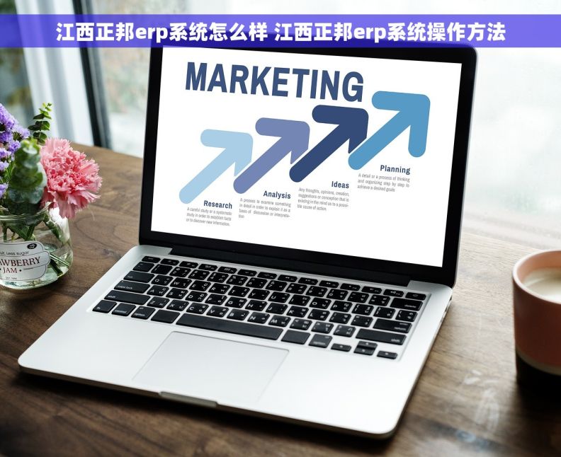 江西正邦erp系统怎么样 江西正邦erp系统操作方法