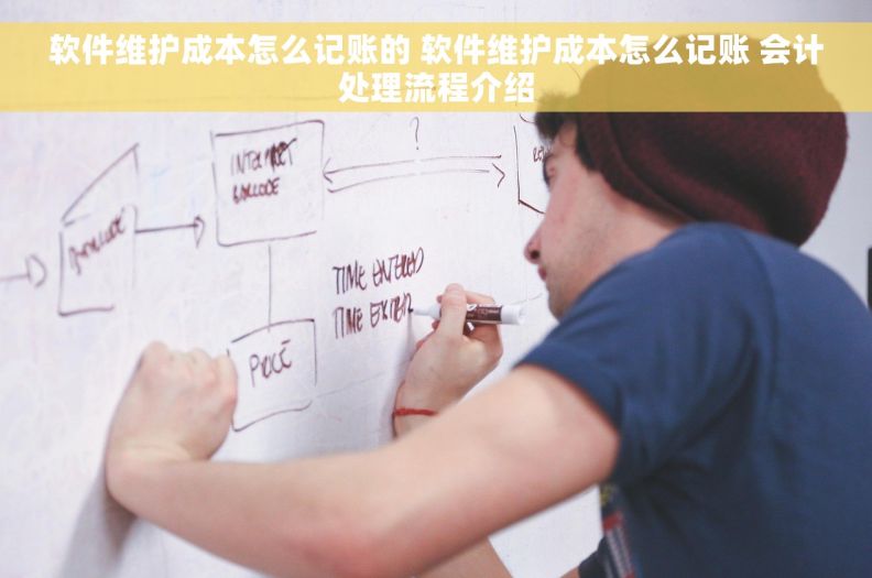 软件维护成本怎么记账的 软件维护成本怎么记账 会计处理流程介绍
