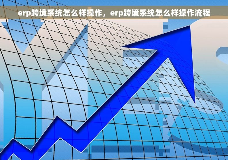 erp跨境系统怎么样操作，erp跨境系统怎么样操作流程