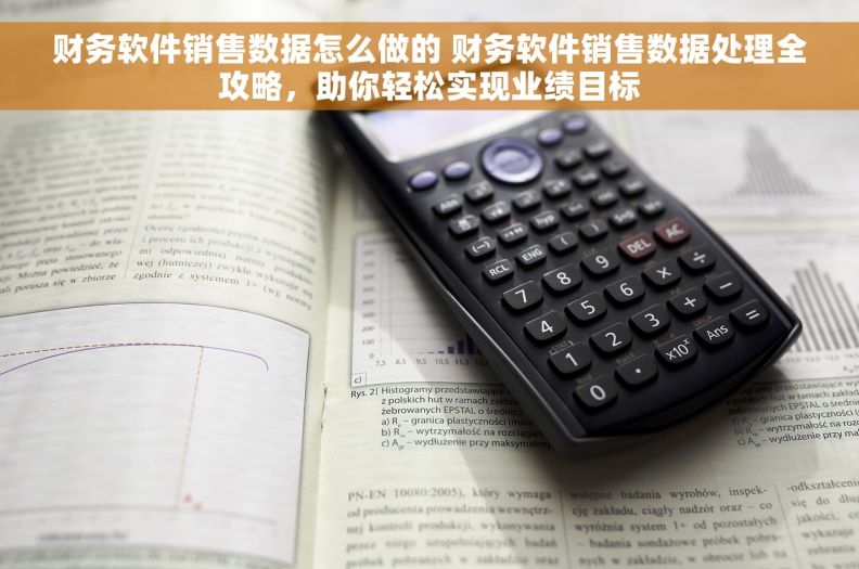 财务软件销售数据怎么做的 财务软件销售数据处理全攻略，助你轻松实现业绩目标