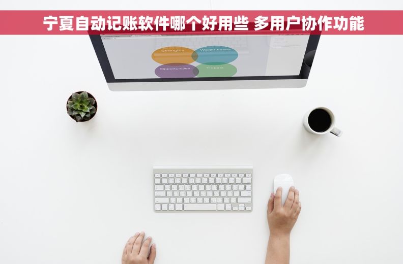  宁夏自动记账软件哪个好用些 多用户协作功能